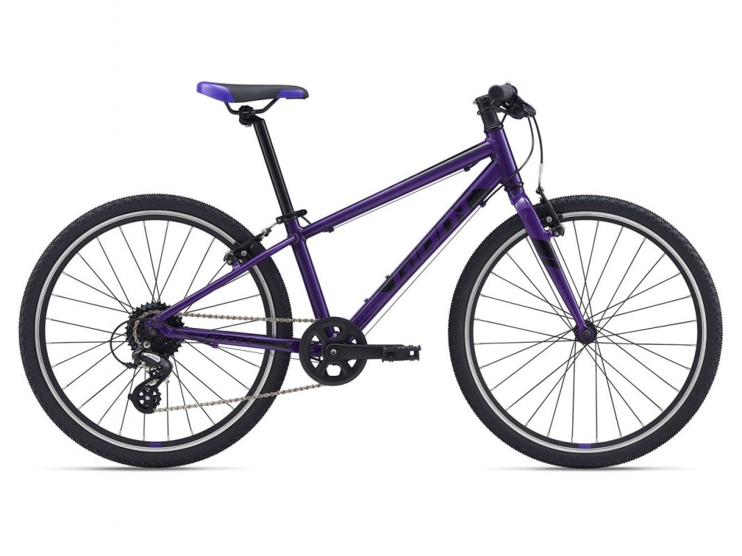 Фото выбрать и купить велосипед giant arx 24 (2021) вишнёвый велосипеды с доставкой, в магазине или со склада в СПб - большой выбор для подростка, велосипед giant arx 24 (2021) вишнёвый велосипеды в наличии - интернет-магазин Мастерская Тимура