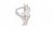 Фото выбрать и купить флягодержатель пластиковый белый nuvo nh-bc135p white для велосипедов со склада в СПб - большой выбор для взрослого, флягодержатель пластиковый белый nuvo nh-bc135p white для велосипедов в наличии - интернет-магазин Мастерская Тимура