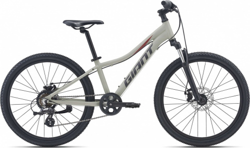 Фото выбрать и купить горный велосипед, горный двухподвес для подростка, BMX, полуфэт, фэтбайк, складной, детский велосипед для девочки или мальчика в СПб - большой выбор, размер колеса 20, 24, 26 и 27,5 дюйма, велосипед giant xtc jr disc 24 (2021) светло-серый  в наличии - интернет-магазин Мастерская Тимура