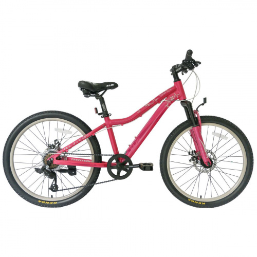 Фото выбрать и купить горный велосипед, горный двухподвес для подростка, BMX, полуфэт, фэтбайк, складной, детский велосипед для девочки или мальчика в СПб - большой выбор, размер колеса 20, 24, 26 и 27,5 дюйма, велосипед tech team elis 24 disc (2022) красный  в наличии - интернет-магазин Мастерская Тимура