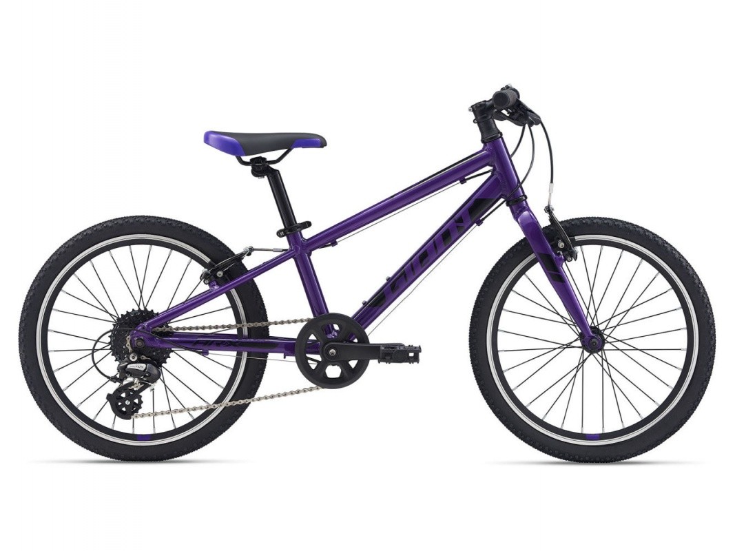 Фото выбрать и купить велосипед giant arx 20 (2021) вишнёвый детские в магазинах или со склада в СПб - большой выбор для взрослого и для детей, велосипед giant arx 20 (2021) вишнёвый детские в наличии - интернет-магазин Мастерская Тимура