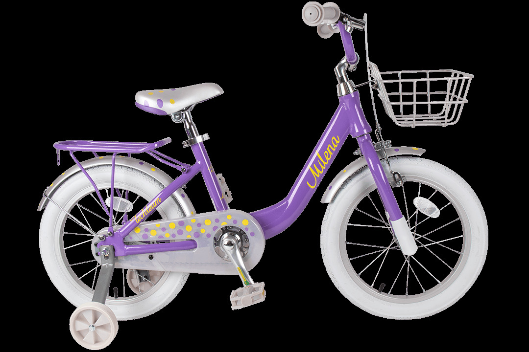 Фото выбрать и купить велосипед tech team milena 20" alu фиолетовый детские в магазинах или со склада в СПб - большой выбор для взрослого и для детей, велосипед tech team milena 20" alu фиолетовый детские в наличии - интернет-магазин Мастерская Тимура