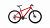 Фото выбрать и купить велосипед forward apache 29 2.0 disc (2020) красный, размер 17'' велосипеды со склада в СПб - большой выбор для взрослого и для детей, велосипед forward apache 29 2.0 disc (2020) красный, размер 17'' велосипеды в наличии - интернет-магазин Мастерская Тимура