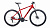 Фото выбрать и купить велосипед forward apache 29 2.0 disc (2021) красный / серебристый, размер 17" велосипеды со склада в СПб - большой выбор для взрослого и для детей, велосипед forward apache 29 2.0 disc (2021) красный / серебристый, размер 17" велосипеды в наличии - интернет-магазин Мастерская Тимура