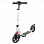 Фото выбрать и купить самокат tech team city scooter 1/2 2021 (белый, nn003762) в магазинах в наличии или заказать в интернет-магазине с доставкой со склада в СПб - большой выбор для взрослого, самокат tech team city scooter 1/2 2021 (белый, nn003762) в наличии - интернет-магазин Мастерская Тимура