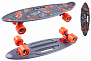 Фото выбрать и купить скейтборд fishboard 23 print grey (nn004158) в магазинах в наличии или заказать в интернет-магазине с доставкой со склада в СПб - большой выбор для взрослого, скейтборд fishboard 23 print grey (nn004158) в наличии - интернет-магазин Мастерская Тимура