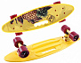 Фото выбрать и купить скейтборд fishboard 23 print yellow (nn004157) в магазинах в наличии или заказать в интернет-магазине с доставкой со склада в СПб - большой выбор для взрослого, скейтборд fishboard 23 print yellow (nn004157) в наличии - интернет-магазин Мастерская Тимура