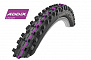 Фото выбрать и купить покрышка 29x2.00 (50-622) 05-11600543.02 dirty dan evo, liteskin, folding (кевлар/складная) b/b-sk hs417a addix spgrip 127epi schwalbe для велосипедов со склада в СПб - большой выбор для взрослого, запчасти для велосипедов в наличии - интернет-магазин Мастерская Тимура