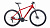 Фото выбрать и купить велосипед forward apache 29 2.0 d (2022) красный/серебристый, 17" велосипеды со склада в СПб - большой выбор для взрослого и для детей, велосипед forward apache 29 2.0 d (2022) красный/серебристый, 17" велосипеды в наличии - интернет-магазин Мастерская Тимура