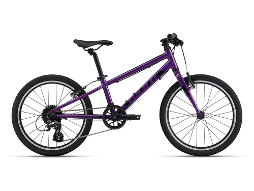 Фото выбрать и купить детский велосипед или подростковый, для девочки или мальчика, размеры 18 дюймов и 20 дюймов, горный, городской, фэтбайк, полуфэт, BMX, складной детский, со склада в СПб - детские велосипеды, велосипед giant arx 20 (2022) purple  в наличии - интернет-магазин Мастерская Тимура
